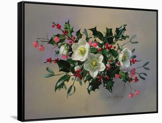 Ab/89 Christmas Roses-Albert Williams-Framed Stretched Canvas