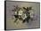 Ab/89 Christmas Roses-Albert Williams-Framed Stretched Canvas