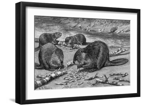 Premium Photographic Print, , large