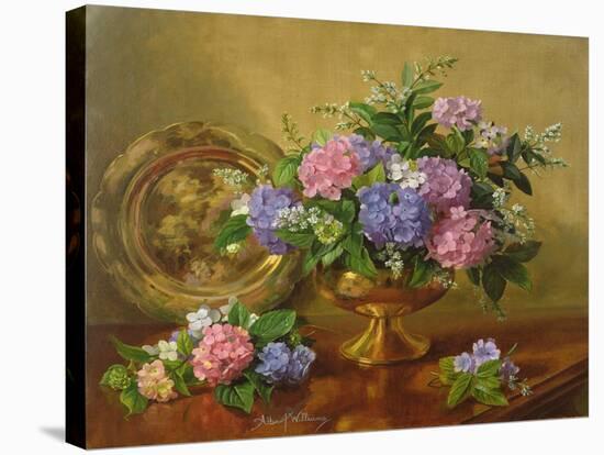 AB2112 Hydrangeas and Lilacs-Albert Williams-Stretched Canvas