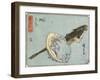 Abalone and Flathead, 1830-1844-Utagawa Hiroshige-Framed Giclee Print