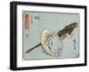 Abalone and Flathead, 1830-1844-Utagawa Hiroshige-Framed Giclee Print