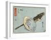 Abalone and Flathead, 1830-1844-Utagawa Hiroshige-Framed Giclee Print