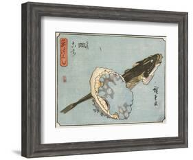 Abalone and Flathead, 1830-1844-Utagawa Hiroshige-Framed Giclee Print