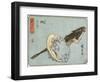 Abalone and Flathead, 1830-1844-Utagawa Hiroshige-Framed Giclee Print