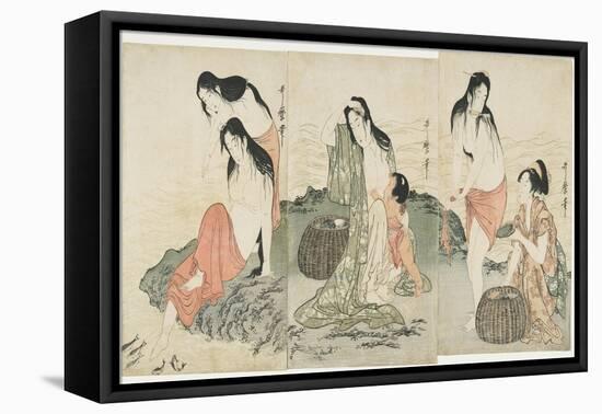 Abalone Divers, 1797-1798-Kitagawa Utamaro-Framed Stretched Canvas
