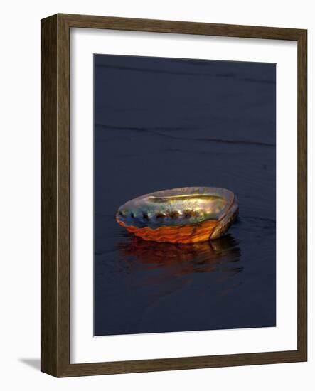 Abalone Shell on California Beach at Dawn-Lynn M^ Stone-Framed Photographic Print