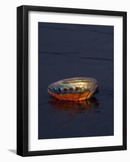 Abalone Shell on California Beach at Dawn-Lynn M^ Stone-Framed Photographic Print