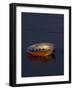 Abalone Shell on California Beach at Dawn-Lynn M^ Stone-Framed Photographic Print