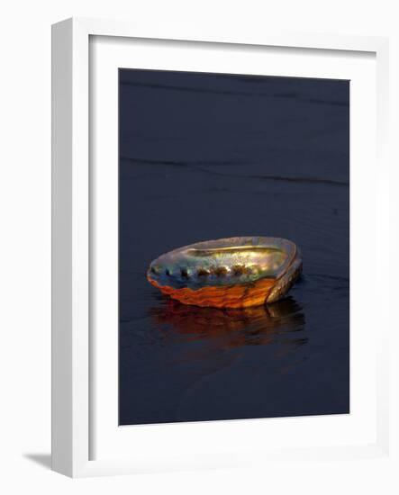 Abalone Shell on California Beach at Dawn-Lynn M^ Stone-Framed Photographic Print