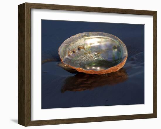 Abalone Shell on California Beach at Dawn-Lynn M^ Stone-Framed Photographic Print