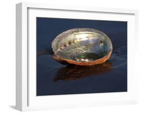 Abalone Shell on California Beach at Dawn-Lynn M^ Stone-Framed Photographic Print