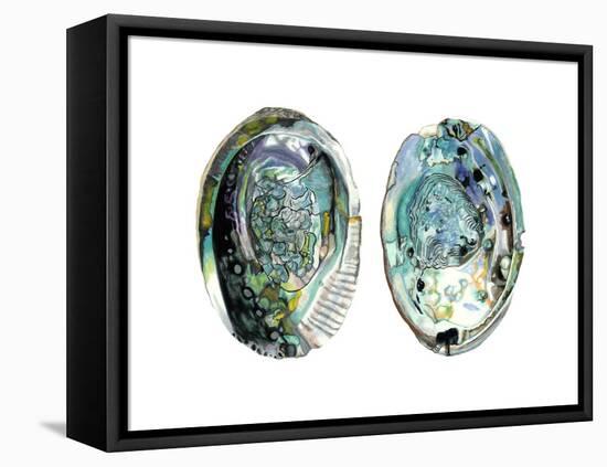 Abalone Shells I-Naomi McCavitt-Framed Stretched Canvas