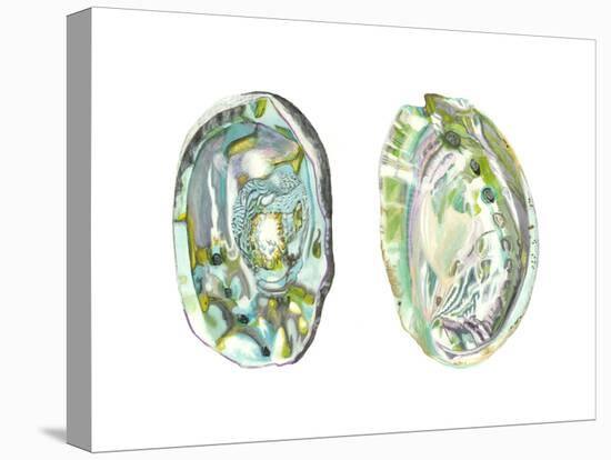 Abalone Shells II-Naomi McCavitt-Stretched Canvas