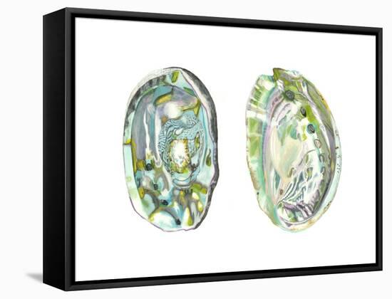 Abalone Shells II-Naomi McCavitt-Framed Stretched Canvas