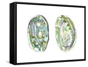 Abalone Shells II-Naomi McCavitt-Framed Stretched Canvas