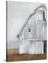 Abandoned Barn II-Ethan Harper-Stretched Canvas