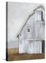Abandoned Barn II-Ethan Harper-Stretched Canvas
