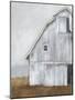 Abandoned Barn II-Ethan Harper-Mounted Art Print