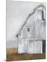 Abandoned Barn II-Ethan Harper-Mounted Art Print