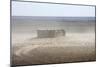 Abandoned Barn in the Desert-dmitriyGo-Mounted Photographic Print