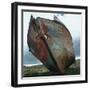 Abandoned Boat Hull-null-Framed Photographic Print
