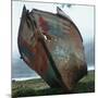Abandoned Boat Hull-null-Mounted Photographic Print