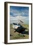 Abandoned Boat on Shore Dungeness, Kent-null-Framed Photographic Print