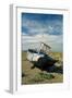 Abandoned Boat on Shore Dungeness, Kent-null-Framed Photographic Print