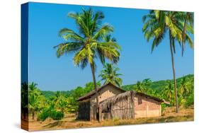 Abandoned Building in A Coconut Grove in the Tropics-Labunskiy K-Stretched Canvas