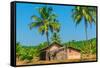 Abandoned Building in A Coconut Grove in the Tropics-Labunskiy K-Framed Stretched Canvas