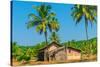 Abandoned Building in A Coconut Grove in the Tropics-Labunskiy K-Stretched Canvas