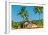 Abandoned Building in A Coconut Grove in the Tropics-Labunskiy K-Framed Photographic Print