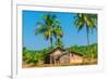 Abandoned Building in A Coconut Grove in the Tropics-Labunskiy K-Framed Photographic Print