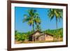 Abandoned Building in A Coconut Grove in the Tropics-Labunskiy K-Framed Photographic Print