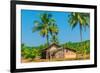 Abandoned Building in A Coconut Grove in the Tropics-Labunskiy K-Framed Photographic Print