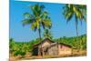 Abandoned Building in A Coconut Grove in the Tropics-Labunskiy K-Mounted Photographic Print