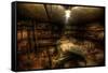 Abandoned Building Interior-Nathan Wright-Framed Stretched Canvas