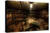 Abandoned Building Interior-Nathan Wright-Stretched Canvas