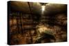 Abandoned Building Interior-Nathan Wright-Stretched Canvas