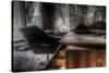 Abandoned Building Interior-Nathan Wright-Stretched Canvas