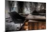 Abandoned Building Interior-Nathan Wright-Mounted Photographic Print
