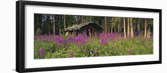 Abandoned Cabin and Fireweed, Ross River Area, Yukon, Canada-Paul Souders-Framed Photographic Print