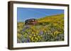 Abandoned car in springtime wildflowers, Dalles Mountain Ranch State Park, Washington State-Darrell Gulin-Framed Photographic Print