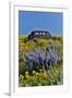 Abandoned car in springtime wildflowers, Dalles Mountain Ranch State Park, Washington State-Darrell Gulin-Framed Premium Photographic Print