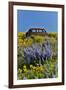 Abandoned car in springtime wildflowers, Dalles Mountain Ranch State Park, Washington State-Darrell Gulin-Framed Premium Photographic Print