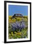 Abandoned car in springtime wildflowers, Dalles Mountain Ranch State Park, Washington State-Darrell Gulin-Framed Premium Photographic Print