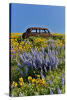 Abandoned car in springtime wildflowers, Dalles Mountain Ranch State Park, Washington State-Darrell Gulin-Stretched Canvas