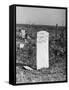 Abandoned Cemetery-Jack Delano-Framed Stretched Canvas