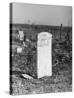 Abandoned Cemetery-Jack Delano-Stretched Canvas